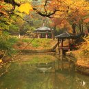 내고5길 이미지