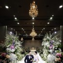 더플롯스튜디오 이미지