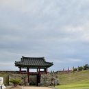 참좋은애견 이미지