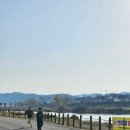 진위천 | [내돈내산]아이들과 첫 방문! 평택 진위천 오토캠핑장 후기