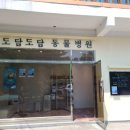 도담도담동물병원 이미지