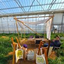 무화농장2 이미지