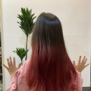 헤어오리다