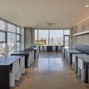 맹그로브 신설 이미지