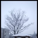 강릉영동대학 2 이미지