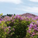 능마루1로 이미지