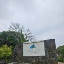 [히든클리프 호텔&amp;네이쳐] 제주 서귀포 중문 인피니티풀 5성급 호텔 내돈내산 후기