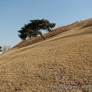 (유)토성
