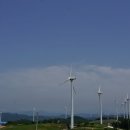 영해목장 Daum카페