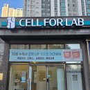 라온사우나 | 동탄다이어트 셀포랩 라온점 방문 후기