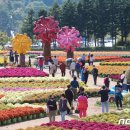내촌1교 - 포천시 | 내촌1교