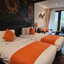 바나나포켓볼클럽 | 나트랑 아미아나 리조트 호텔동 디럭스 마운틴뷰 내돈내산 후기