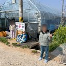 다은농장 이미지