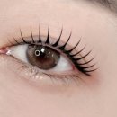 두리안모텔 이미지