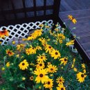 횡성리버뷰펜션 이미지