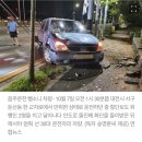 새벽 귀가중 여대생 치어 숨지게 한 음주운전 30대 법정최고형 구형 이미지