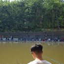 군자 낚시터 이미지