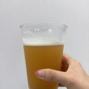 크래프트본 | 논알콜맥주 추천 맥주맛 제대로 나는 맛있는 생활맥주 제로슈거 크래프트 페일에어 먹어본 후기