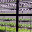 미숙농장 이미지