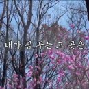 보켈토브 네이버블로그