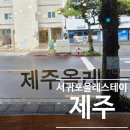제주 스테이한강 | 제주 서귀포 뚜벅이 가성비 숙소 올레스테이