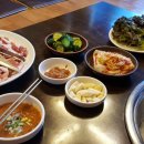 낙동생오리 이미지