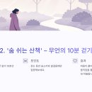 심플루틴