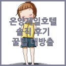 온양제일호텔 | 온양제일호텔 완전분석! 솔직 후기 &amp; 숨겨진 꿀팁 대방출 (feat. 온천, 맛집)