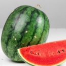 넝쿨대박몰 | 🍉 롯데마트 7월 통큰세일(통큰데이) 완벽 총정리: 통큰수박, 장어, 한우 반값 혜택부터 전단지 추천...