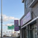 후추집 | [세종 연서면 애견미용] 세종 산책하는 강아지에서 후추 미용했어요! 솔직 방문 후기