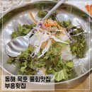 동해물회 | 동해 묵호 물회 맛집 부흥횟집 물회 혼밥 후기