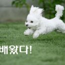 기다리다 이미지