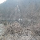 새희망부동산중개사무소 이미지