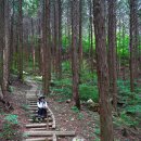 6월1일 지리산둘레길 21코스 [산수유시목지~주천센터] ~ 마직막코스 이미지