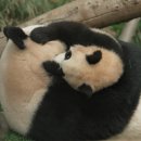 패밀리농장 이미지