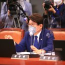 오월드 동물병원 이미지