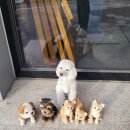 완수고기 덕포점 이미지