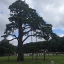 2015년 9월6일 대전 터보달팽이 "안동찜닭 &amp; 맘모스 제과" 투어 후기 이미지