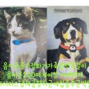 애니원플러스 이미지