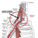 한빛재활의학과의원 이미지