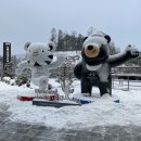 (주)진인소프트 | [강원도 1박2일] 평창-강릉 230107~08