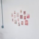 카페달샷