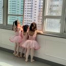 어린이 발레(초급) 이미지