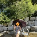 (주)토옥 이미지