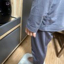 쑥먹은 염소 | 흑염소진액 효능 성장기 아이 키크는 네스럽 흑염소진액