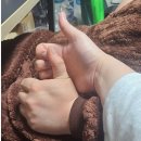 번쩍피자중랑구점 | 내돈내산) 번쩍피자 중랑구점 리뷰 후기