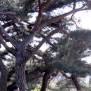 맹방초등학교 이미지