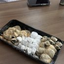 향남 살구꽃공원