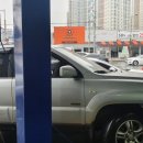 프로미자주카 이미지