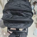 디 텝 | TAVO 플랙스텝3/6개월 유모차 픽!